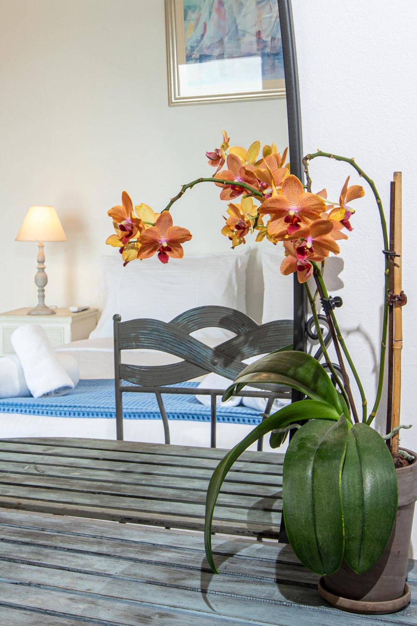 Dimitra Apartment With Private Pool And Sea View -The Ground Floor Of A Two Storey Building Δαράτσο Εξωτερικό φωτογραφία
